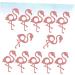 Ciieeo 48 Pcs Flamingo Lollipop Decor Hawaii Lollipop Decor Hawaii Decor Candy Holder Party Hawaiian Candy Lollipop Party Accessories Lollipop Craft Cactus Pink Props - Buy Online on GoSupps.com