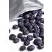 VFD Freeze-Dried Whole Blueberries BULK SIZE 1LB Premium Quality - Canada Grade A - No Sugar Added - No Preservatives - Naturally Sweet - Fruit Snack - Buy Online on GoSupps.com