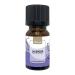 Lavender Essential Oil 10ml by Trellis | 100% Pure Lavender Oil | Premium Aromatherapy Oil for Diffusers for Home | Natural Vegan Cruelty Free Ethically Sourced in France & Bottled in UK Lavender 10.00 ml (Pack of 1)