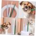 Balacoo 4pcs 360 Shop Kittens Oral Plastic Long Soft-Bristle Portable Stick Pet Reusable Pets Puppy Teeth Cleaner Supplies Degree Manual Dog Kitten Travel for Practical 1 count (Pack of 1) Assorted Color - Buy Online on GoSupps.com