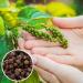 Premium Black Peppercorns - 550g Whole Grains - Ideal for Pepper Mill - Hand-Filled in Germany - International Shipping Available - Buy Online on GoSupps.com