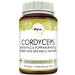 Mycovital Bio Cordyceps Mushroom Powder capsules 93 pieces 750 mg from organic cultivation - 100% vegan & without additives - Chinese caterpillar mushroom