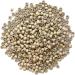 1000pcs 3.0mm Silicone Nano Rings Hair Extension Beads - Gray Blonde | Micro Rings Links for Hair Extensions - Buy Online on GoSupps.com