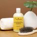 SheaMoisture Raw Shea Butter Shampoo 13 oz - Hydrating Shampoo for Dry, Damaged, or Transitioning Hair (2 pack - 13 Fl Oz each) - Buy Online on GoSupps.com