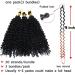 SEGO Water Wave Braids - Afro Kinky Hair Extension Closure Bundles | Dark Black 1 - 20cm (90g) - International Shipping - Buy Online on GoSupps.com