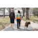 TUDEQU Hands-Free Dog Leash with Waist Bag & Car Seat Belt Buckle - Ideal for Comfortable Pet Walking | International Shipping - Buy Online on GoSupps.com