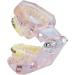 Buy Dental Teeth Model Demo | Transparent Implant & Orthodontic Retainer | International Shipping - Buy Online on GoSupps.com