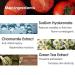 FARMSTAY Real Essence Mask - TOMATO | 10 Sheets | Korean Skin Care | International Shipping - Buy Online on GoSupps.com