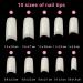 Buy Bainfir 500 Pcs Natural Color Artificial Nail Tips - 10 Sizes DIY Acrylic Fake Nails with Box Nail Brush & File - Perfect for Nail Art - Buy Online on GoSupps.com