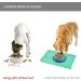 Reopet Silicone Pet Feed Mats - Waterproof Dog & Cat Mats with Elevated Edges - 60x40 cm Teal - Durable & Easy to Clean - Buy Online on GoSupps.com