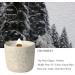 Natural Soy Wax Aroma Candle - Scented Home Decor | Perfect Gift for Birthdays Christmas & More (Fir Forest - Buy Online on GoSupps.com