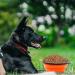Slson Foldable Travel Dog Bowls - 2 Pack (1000ml) with Carabiners for Dogs & Cats - Safe Portable Pet Feeding & Water Bowls in Orange & Pink - Buy Online on GoSupps.com