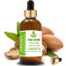 Pure Argan Oil 15ml | Natural Therapeutic Grade Carrier Oil | 100% Pure Herbs - Buy Online on GoSupps.com