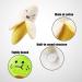 NyxSeat Fruit Plush Toys - 4 Pack Cute & Bite-Proof Dog Toys for Small & Medium Dogs Noisy & Fear-Relieving - Buy Online on GoSupps.com