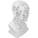 Buy Acupuncture Head Model with Point Markings | Ideal for Facial Treatments & Training Props - 11.8 inches Soft PVC - Buy Online on GoSupps.com