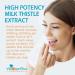 High Strength Milk Thistle Tablets - 4000mg - 120 Tablets (2 Per Serving) - 80% Silymarin - Vegan & GMO-Free - UK Made - Buy Online on GoSupps.com