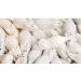 Buy 660g Handmade White & Gray Giant Foam Mice - Gluten-Free & Lactose-Free | Aseli Mouse Bacon in Re-Lockable Box - Buy Online on GoSupps.com