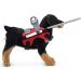 Pet Blind Halo Lightweight Practical Collision Avoidance Harness with Reflective Effect for Blind Dogs Cats (ZJchaowze0xh9v6q-12) - Buy Online on GoSupps.com