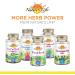 Nature's Herbs Celery Seed - 100 Vegetarian Capsules for Natural Health - Buy Online on GoSupps.com