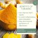 Turmeric Herbal Tea - Buy Online on GoSupps.com