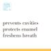 Burt's Bees Deep Clean + Whitening Fluoride Toothpaste 4.7oz (Pack of 3) - Natural Mountain Mint Flavor - Buy Online on GoSupps.com