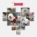 Dog Wheelchair Two Wheels Adjustable Pet Wheelchair Light Weight Easy Assemble Dog Cart Hind Legs Rehabilitation for Small Dog Puppy Cat- Wheelchair for Back Legs X-Small - Buy Online on GoSupps.com