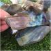 Stone Crafts Natural Heavy Flash Labradorite Crystal Gemstone Slice Metaphysical Crystal Stone Crystal Reiki - Buy Online on GoSupps.com
