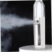 SOESFOUFU 1pc Spray Humidifier Portable Face Steamer Portable Facial Atomization Mini Facial Mister White - Buy Online on GoSupps.com