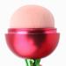 Buy BinaryABC Rose Flower Makeup Brush - Loose Powder & Buffing Brush for Flawless Blending | International Shipping - Buy Online on GoSupps.com