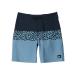 Quiksilver Boys Everyday Panel YTH 17 Boardshorts (1 Pack) 10 Years Dark Navy
