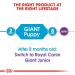 ROYAL CANIN Puppy Food Giant 15 kg - Buy Online on GoSupps.com