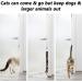 2Pcs Cat Door Holder Latch - Easy Install Flex Strap Alternative for Interior Cat Doors - Keep Dogs Out - No Need for Baby Gate or Pet Door - Litter & Food Access Control - Gold - Buy Online on GoSupps.com