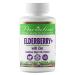 Paradise Herbs Earth's Blend Elderberry+ with Zinc 60 Vegetarian Capsules