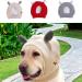 Buy Weduspaty Cute Beige Dog Knitted Hat | Stylish Pet Accessory for International Shipping - Buy Online on GoSupps.com