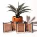 WET N WILD Color Icon Bronzer - What Shady Beaches | Buy Internationally Flawless Glow - Buy Online on GoSupps.com