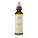 Bach Original Flower Remedies, Honeysuckle for Embracing the Now, Natural Homeopathic Flower Essence, Holistic Wellness and Stress Relief, Vegan, 20mL Dropper