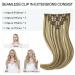 Doores Seamless Clip-In Extensions - Real Hair Light Brown Highlighted Mid-Blonde 22 Inch (55cm) 7 Pieces 110g Remy Human Hair PU Clips - Natural Look Hair Extensions - Buy Online on GoSupps.com