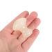 Angoily Gua Sha Stones - Relaxation & Massage Tools for Home & Office Decor | Jade & Agate Body Massagers - Buy Online on GoSupps.com