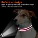 Joytale Reflective Dog Collar for Large Dogs - Hotpink L | Durable & Stylish (Pack of 1) - Buy Online on GoSupps.com