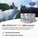 DANALAC PREMIUM Baby Milk Powder with Goat Milk 2nd Age for Infants and Babies Aged 6-12 Months - EU-2020 Formula (400 g Pack of 1) - Buy Online on GoSupps.com