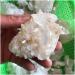 Natural Clear Quartz Crystal Cluster Small Stones Rare Specimen Full of Texture - Buy Online on GoSupps.com