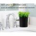 Invisible Denture Bath with Eucalyptus Design - Denture Cup for Retainers, Mouth Guards, and Dentures - Black - Buy Online on GoSupps.com