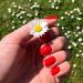 SensatioNail Scarlet Red Gel Polish by Jubujub - 0.25 fl oz - Buy Online on GoSupps.com