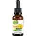 Kopp Vital Vitamin K2 Drops - Vegan 30ml | High Bioavailability | All-Trans 99.5% | Soy-Free | Pharmacy Quality - Buy Online on GoSupps.com