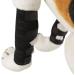 2PCS Dog Leg Brace Dogs foreleg/Rear Legs Surgical Injury Wound Protector Hock Joint Wraps Kneecap for Injuries Sprains Arthritis (Black L) - Buy Online on GoSupps.com