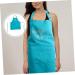 FOMIYES Kitchen Aprons Gardening Apron Bar Apron Adjustable Barber Apron Polyester Apron Adjustable Straps Work Apron Aprons for Hair Stylist Hairstylist Apron Fashion Shoulder Strap Miss 110x66cm - Buy Online on GoSupps.com