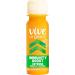 Vive Organic Immune Support Shot - Cold-Pressed Ginger Turmeric & Cayenne - Gluten-Free Vegan - 2 Fl Oz (Pack of 12) - Buy Online on GoSupps.com
