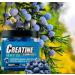 Shop Premium Creatine Monohydrate Gummies - Boost Performance & Energy | Worldwide Shipping - Buy Online on GoSupps.com