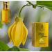 Ylang Ylang 12 ML Concentrated Fragrance - Buy Online on GoSupps.com
