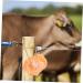 DOITOOL Livestock Salt Lick Animal Farm Supply Salt Licking Block Small Pets Lick Salt Nutrition Pendant - Buy Online on GoSupps.com